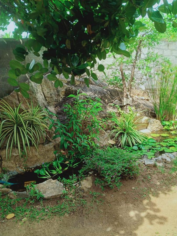 Sidhangana Home Stay Anuradhapura Εξωτερικό φωτογραφία