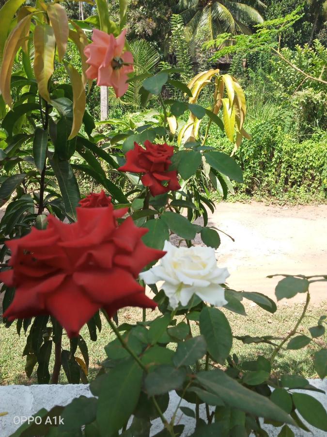 Sidhangana Home Stay Anuradhapura Εξωτερικό φωτογραφία