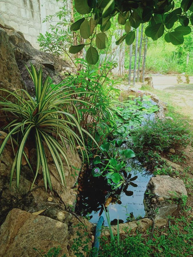Sidhangana Home Stay Anuradhapura Εξωτερικό φωτογραφία