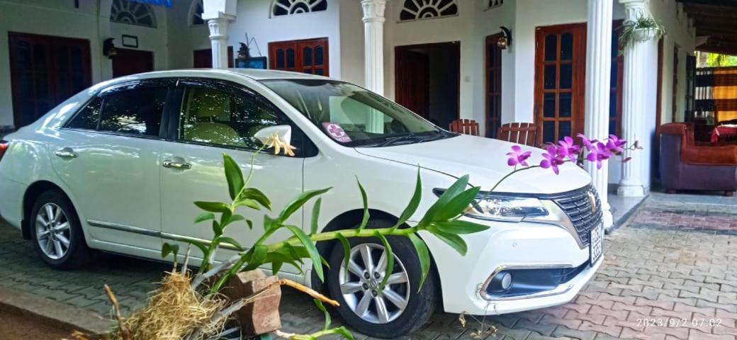 Sidhangana Home Stay Anuradhapura Εξωτερικό φωτογραφία