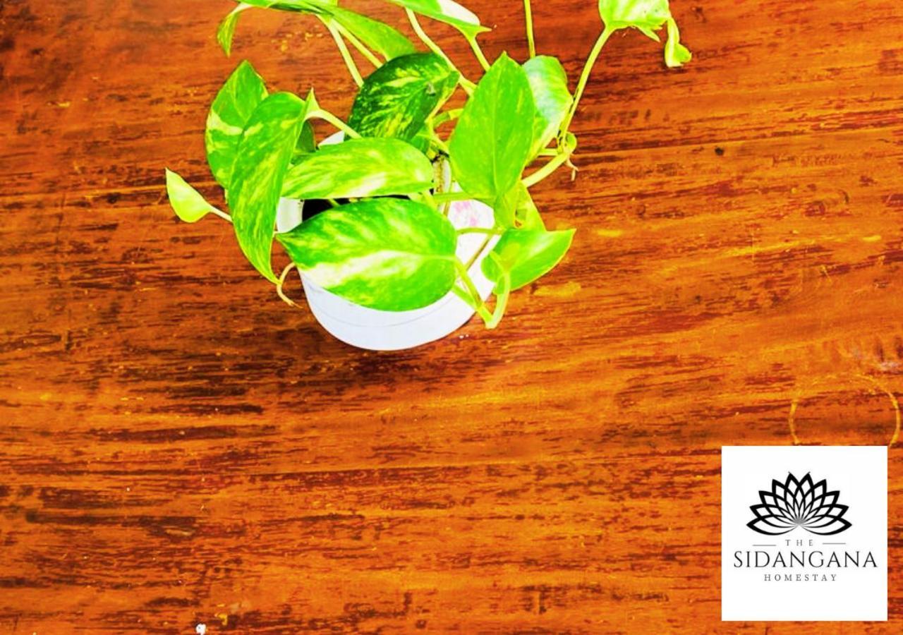 Sidhangana Home Stay Anuradhapura Εξωτερικό φωτογραφία